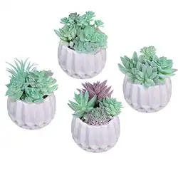 Une image de Lot de 4 pots de fleurs géométriques assortis pour plantes grasses en pot - Décoration d'intérieur ou d'extérieur