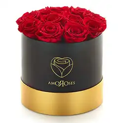 Une image de Le cadeau parfait pour votre petite amie : Des roses éternelles Amoroses